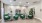 a room with green chairs and a table with a plant on it